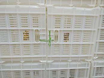 今麥郎、丹尼斯塑料筐